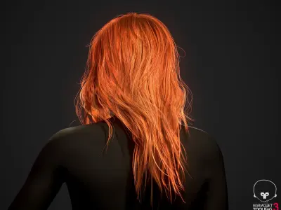 Real-time&nbsp;Hair&nbsp;model&nbsp;Female&nbsp;long 1 3D model