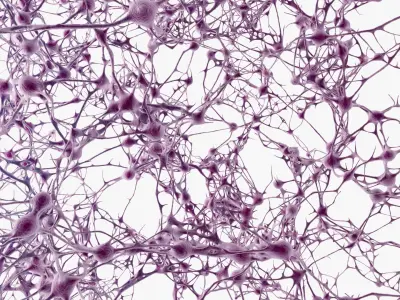 Neurons Network 3D model
