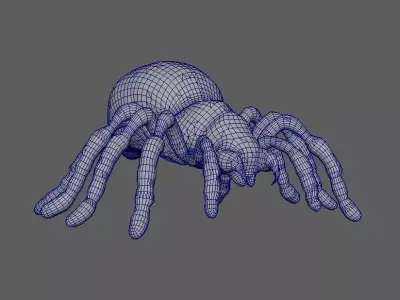 Spider 3D model 12