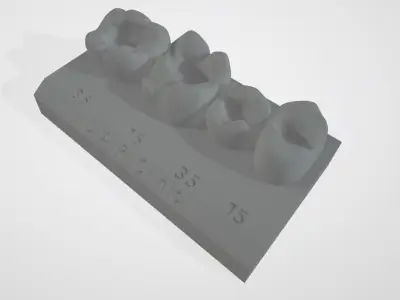 Dental Models For Courses and training  3D print model