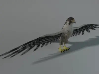 Falcon with wings spread Low-poly 3D model