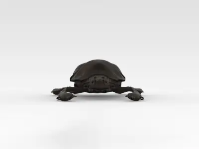 Egyptian Scarab 3D model