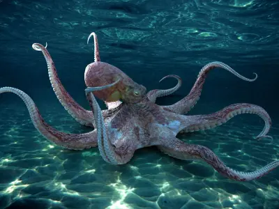Giant Octopus RIG 3D model