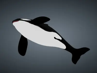 Killer Whale Orca - Rigged Free low-poly 3D model