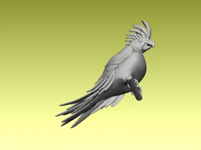 parrot cacadu 3D model