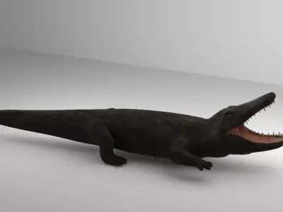 Crocodile Low-poly 3D model get