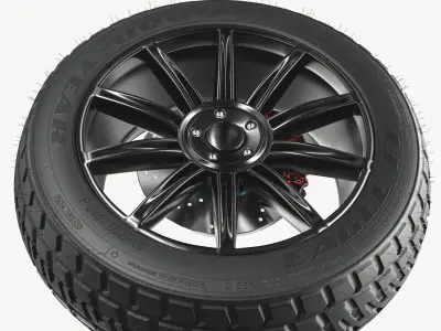 Tire  Rim and Brake  Plates 3D model
