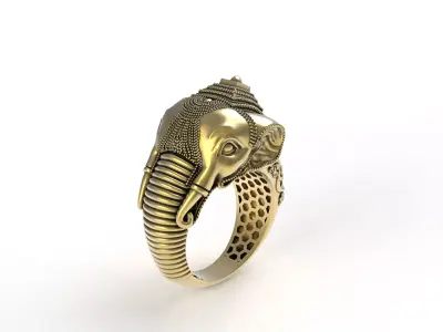 Elephant Ring 3D print model