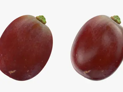Grape Collection 2 3D model