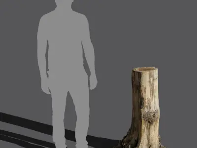  Tall Cut Bare Stump Model 