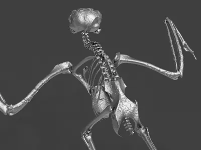 Silver Metal Owl Skeleton for Art Visualization Project 3D model