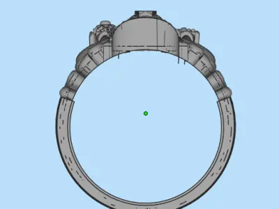 balaji ring Free 3D print model