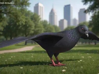  Lowpoly Pigeon Wingspread Black Rigged for Maya 