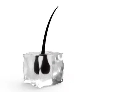 Ice cube and hair Free 3D model