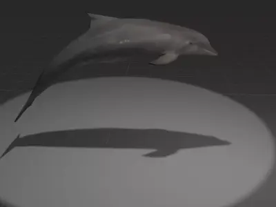 Dolphin with light shining Low-poly 3D model