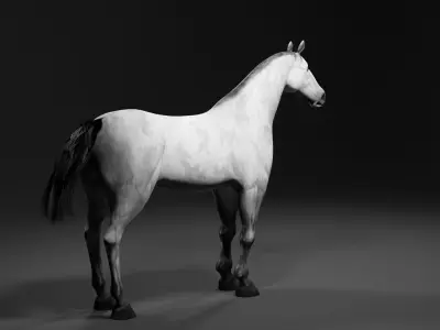 Horse 3D model order