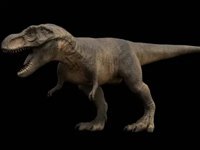 Tyrannosaurus Rex - Theropod Dinosaur Low-poly 3D model