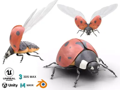 Ladybug Coccinella Low-poly 3D model