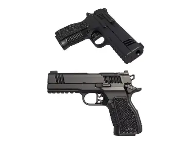 Dan Wesson DWX Compact 3D print model