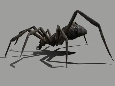 Spider Low-poly 3D model get