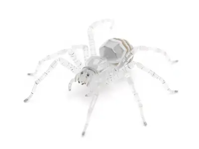 Transparent Spider Glass model pack Low-poly 3D model