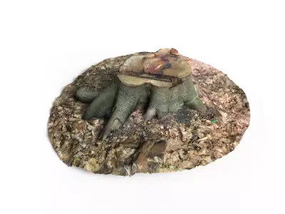 Forest Tree Stump 4K -Part 8-  Free low-poly 3D model