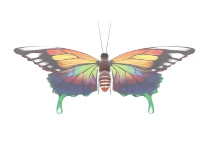 Butterfly 3D Model colorful 3D model
