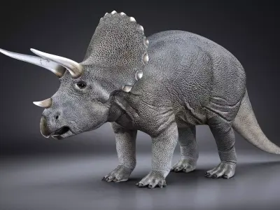Triceratops dinosaur 3D model purchase