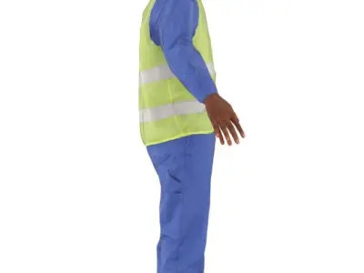 Henry Rigged 004