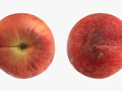 Peach Fruit Collection 3D model