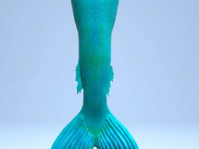 Realistic Mermaid Tail 3D model