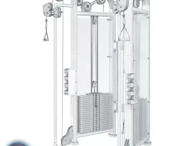 Life Fitness Signature Series Dual Adjustable Pulley 3D model