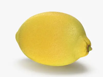 Lemon and Lime Collection 3D model