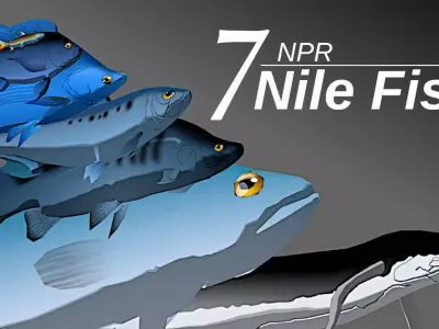 7 NPR Nile Fish 3D model purchase