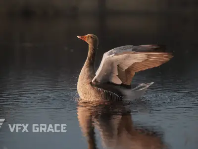 Goose Animation VFX Grace 3D model