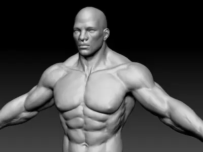 Male body 05 3D model