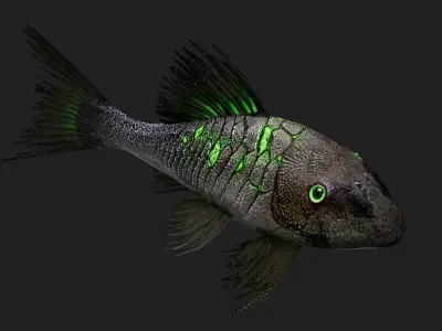 Panaque Low-poly 3D model