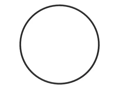 O Ring Vedabras 12607 3D model