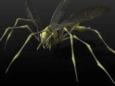 LandBug1 A1 Low-poly 3D model