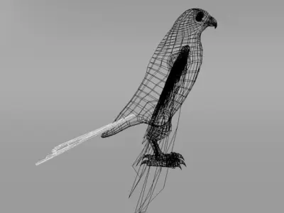 Falcon with wings spread Low-poly 3D model