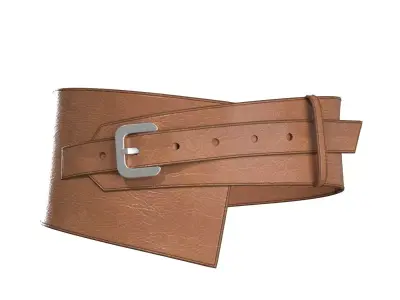 Brown Wide Belt 3D model