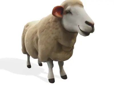 Woolly the Stylized Sheep 3D model