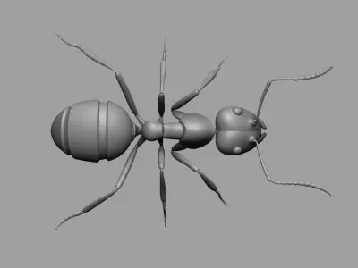 Ant Ant 3D model