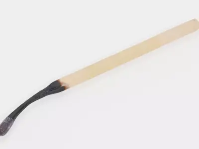 Burned Safety Match V2 - Realistic Single Matchstick 3D model
