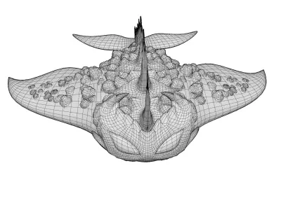 Stingray Low-poly 3D model 4