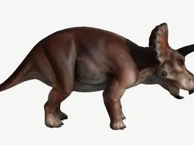 Triceratops dinosaur Low-poly 3D model 2