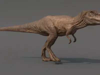 Tyrannosaurus Rex Low-poly 3D model order
