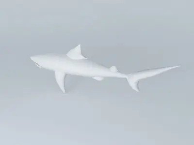 Shark shark Free 3D model