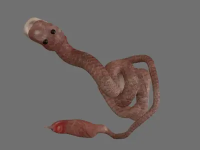 Birthing Snake 3D file Free 3D print model