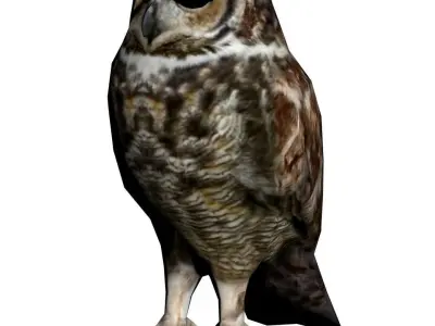 Owl model great horned 3D model